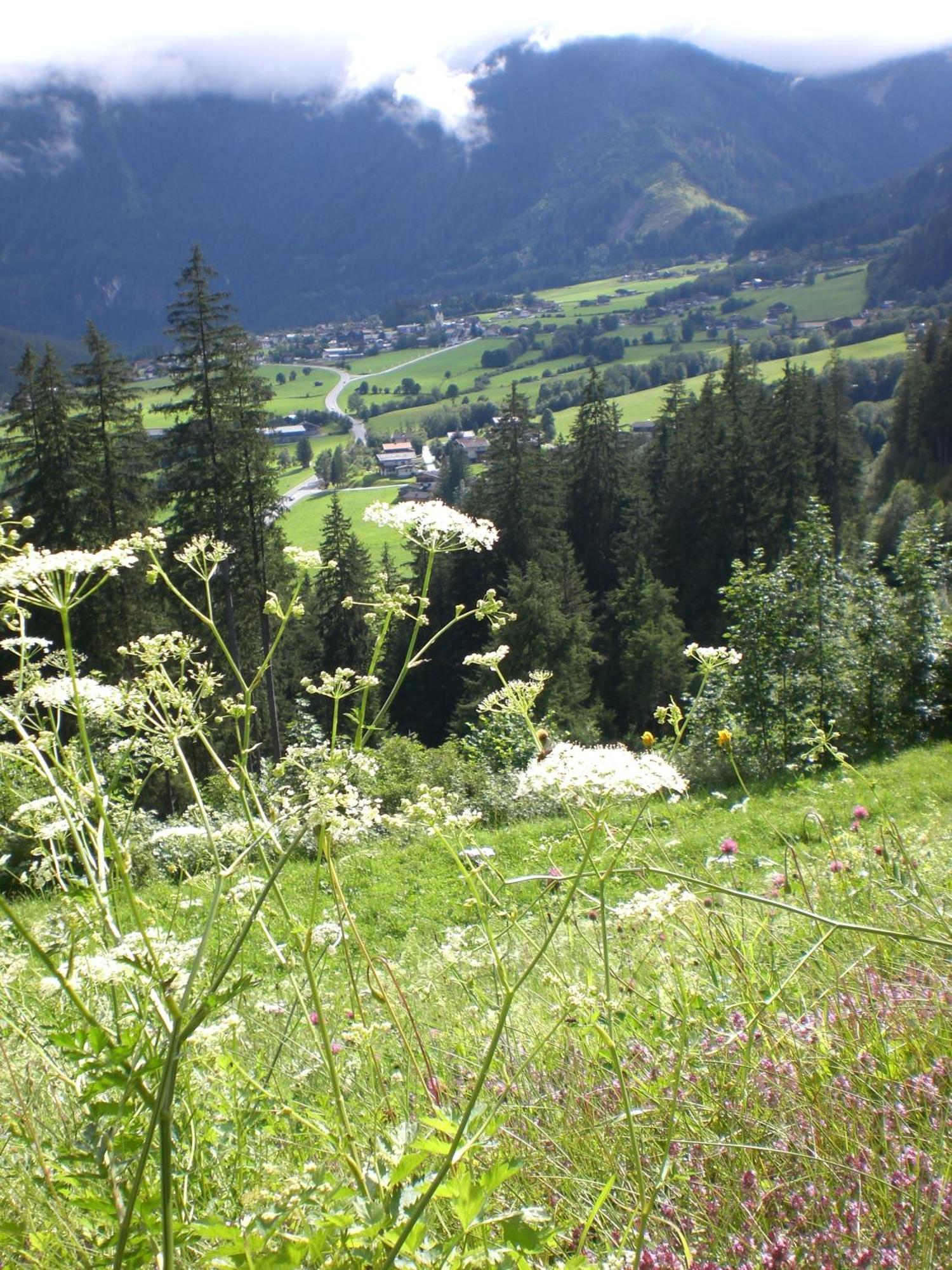 Hotel Gruppen Und Familienhof Falkenstein Krimml Exteriér fotografie